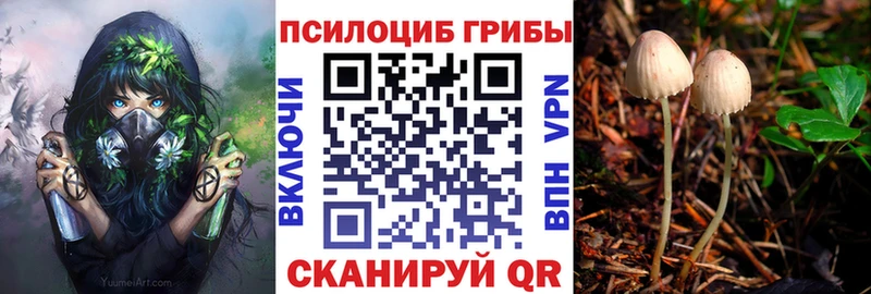 Псилоцибиновые грибы прущие грибы  блэк спрут как войти  Добрянка 